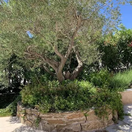 Vue Panoramique